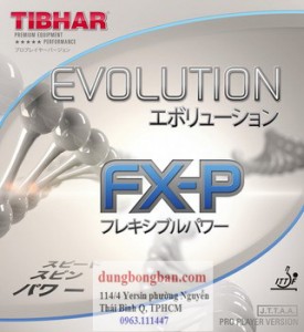 Tibhar-evolution-FXP
