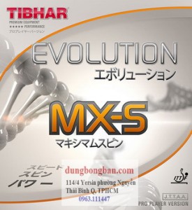 Tibhar-evolution-MXS